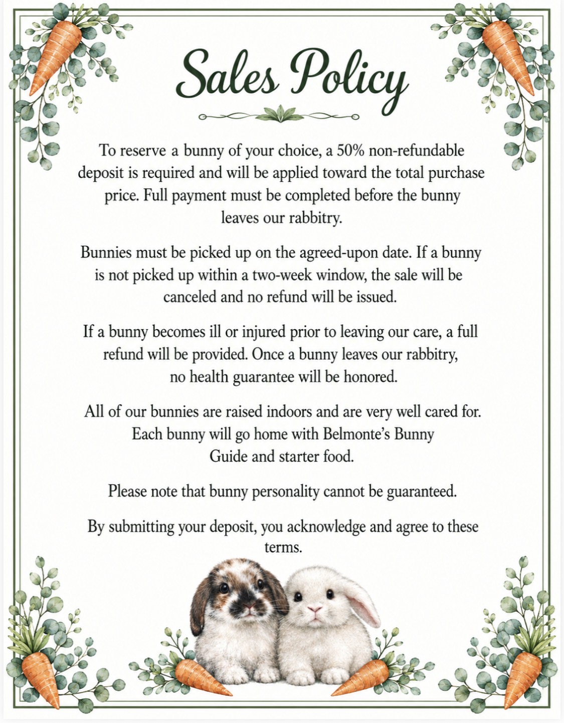 The printed Belmonte's Bunnies Sales Policy document